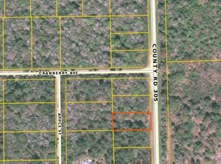 2310 County Road 305, Bunnell, FL 32110