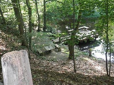 4th image of 34575 Sherbrook Park Dr