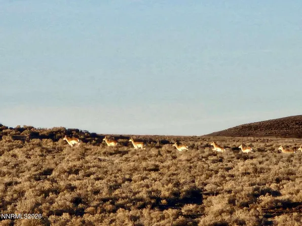 0 Bird Ranch Rd, Crescent Valley, NV 89821
