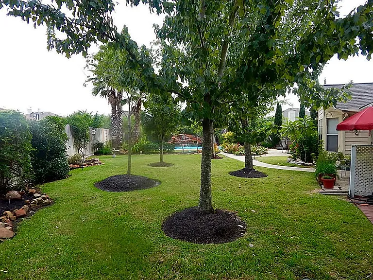 19602 Plymouth Ridge Ln — Photo 6
