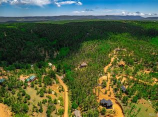 125 Peregrine Way #L2-B1, Divide, CO 80814