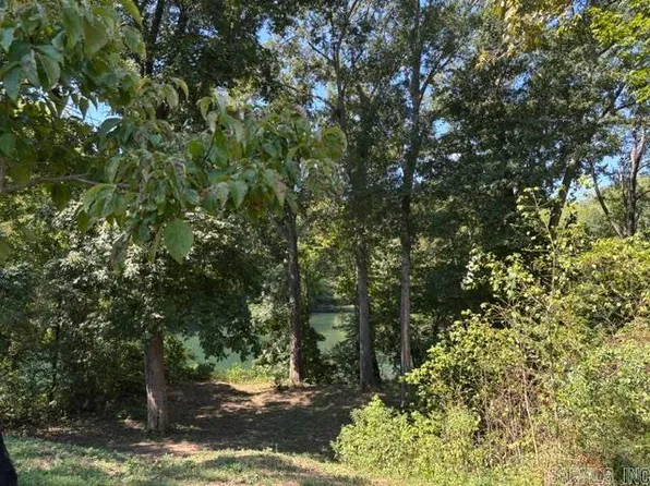 240 River Mist Dr, Pangburn, AR 72121