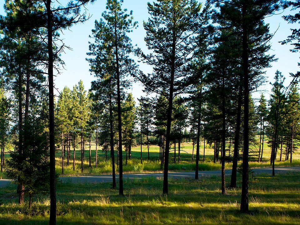 2nd image of Nhn Wilderness Club Dr
