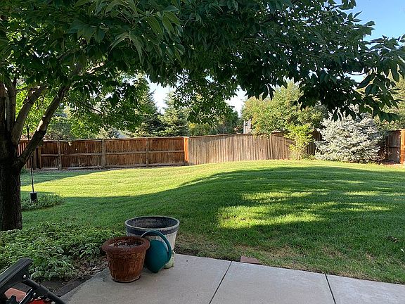 Beautiful Ash & Blue Spruce