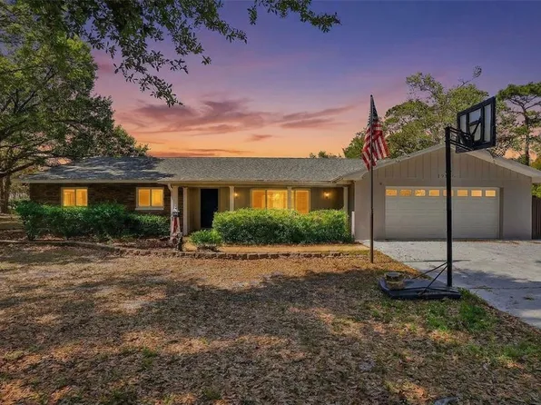 19706 Angel Ln, Odessa, FL 33556