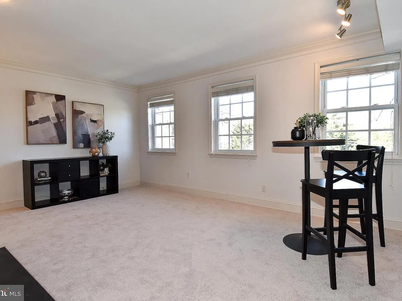 1 bed, 539 sqft, $2,500 — Photo 4