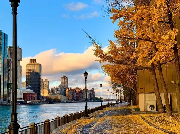 555 Main Street image 13 of 13