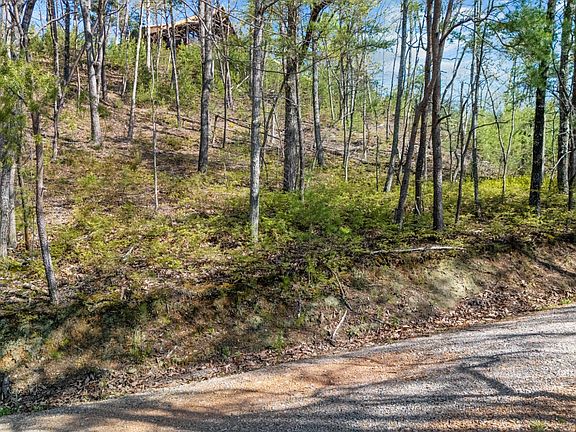 4th image of 30 Huckleberry Way Lot 30