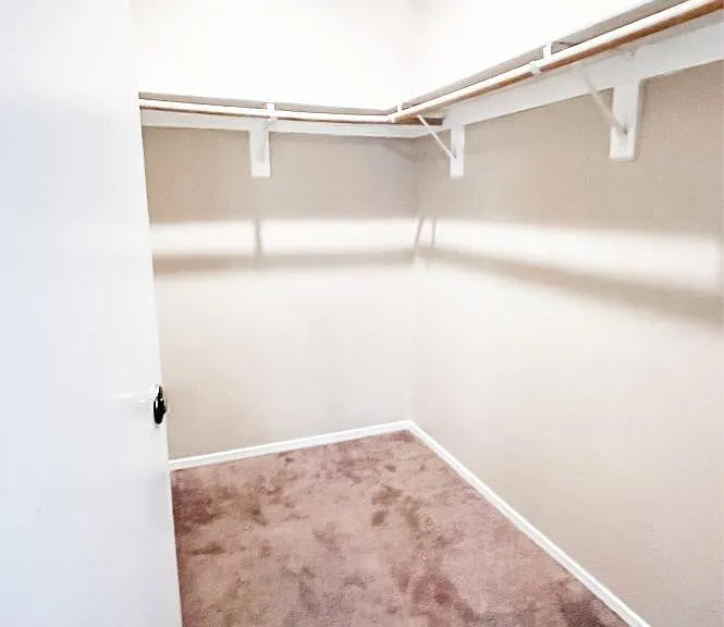 873 Adobe Flat Dr — Photo 15