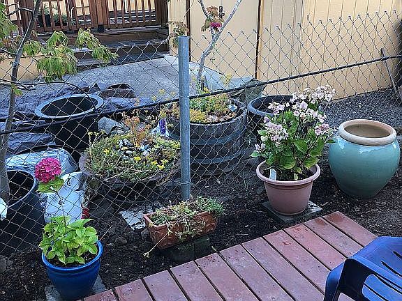 Front deck