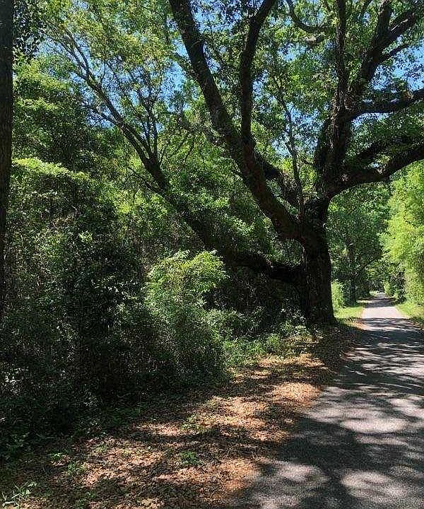 2nd image of Old Guernsey Rd