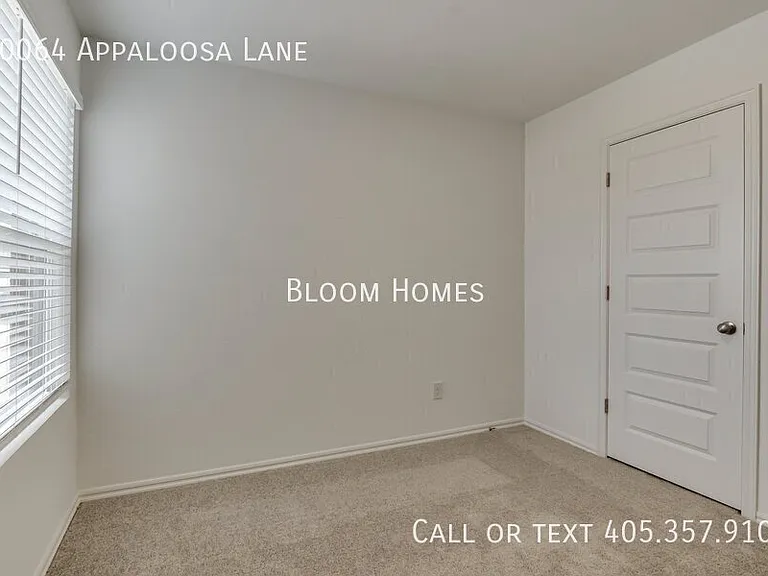 10064 Appaloosa Ln — Photo 18