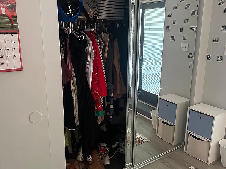 Bedroom #2 Closet