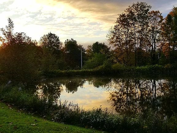 Spring fed swimming pond