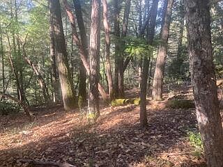 2nd image of 320 Coon Creek Rd
