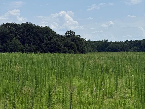 5th image of 295/AC Neal Rd Lot 13