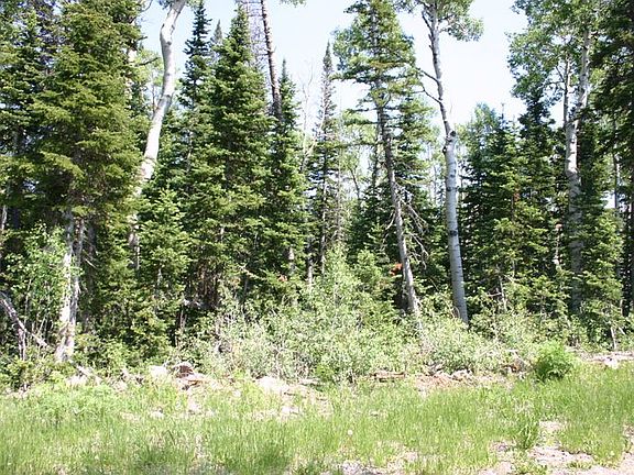 4th image of Elk Dr Lot 102