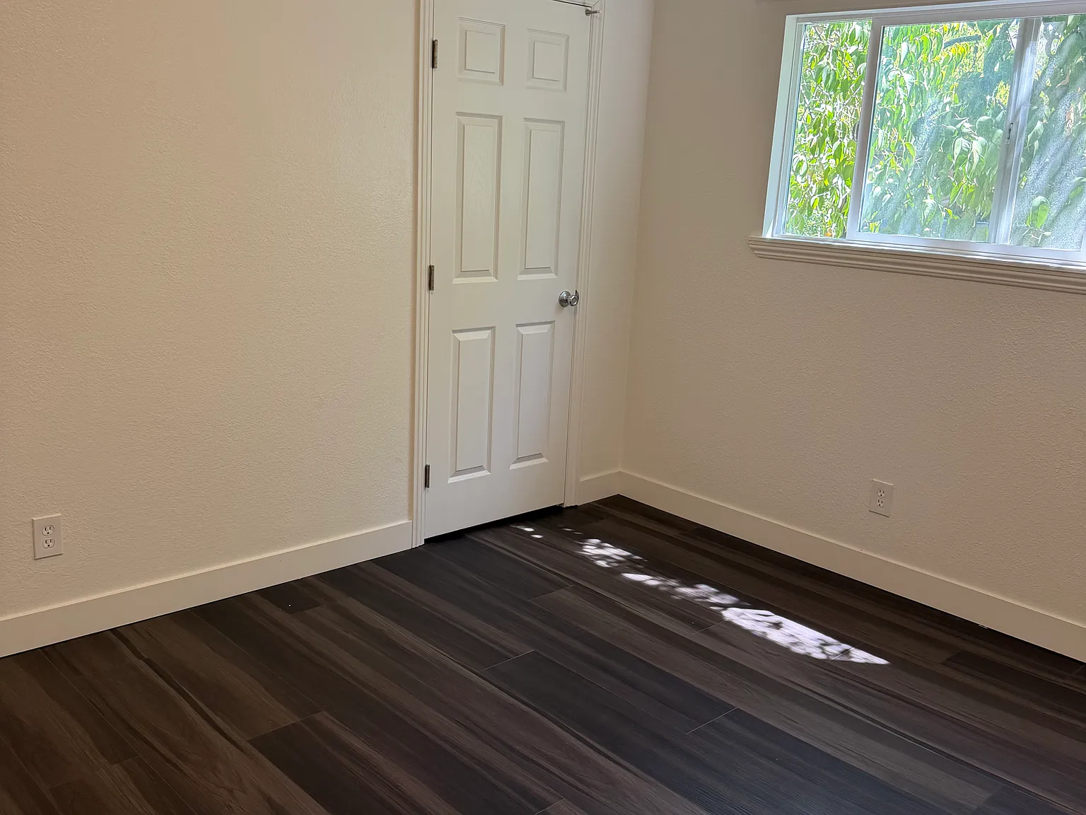 2 bed, 800 sqft, $1,850 — Photo 3