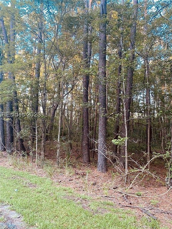 31000 Whyte Hardee Blvd, Hardeeville, SC 29927 MLS 437270 Zillow
