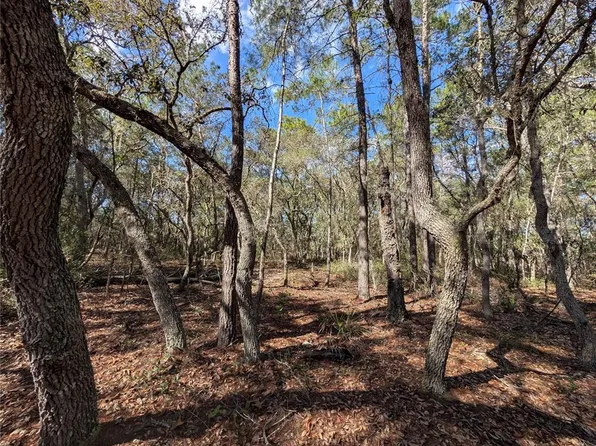 120 & 122 N Carolina Dr Lot 22, Satsuma, FL 32189