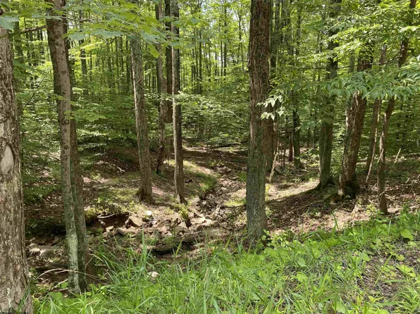 48 & 48A Mountainside Rd, Davis, WV 26260
