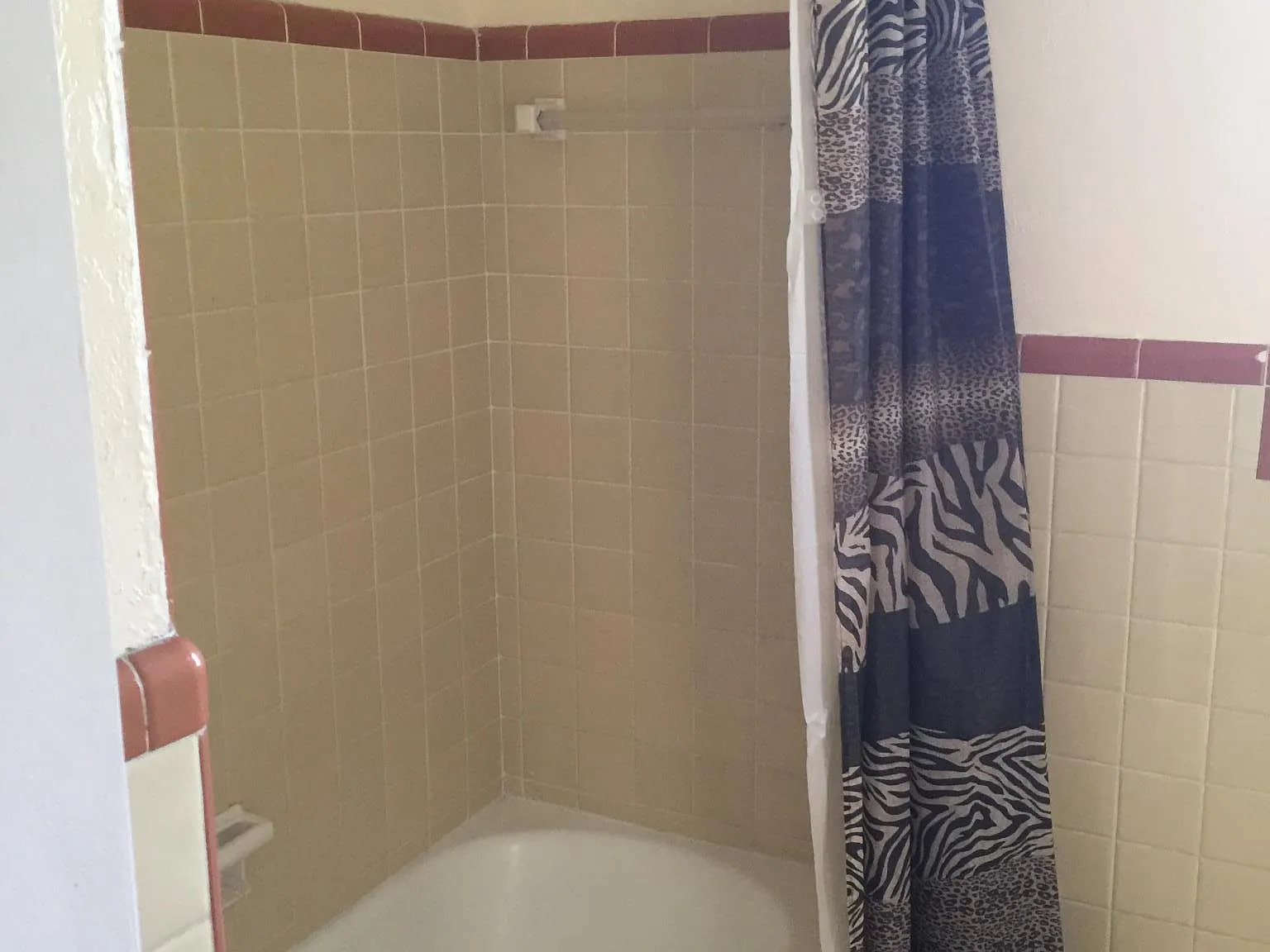 1 bed, 700 sqft, $1,100 — Photo 3