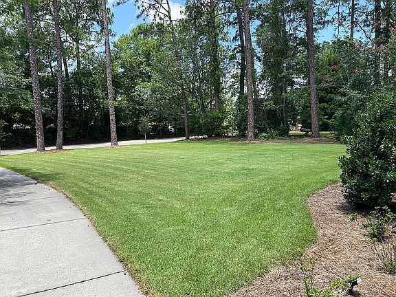 front yard