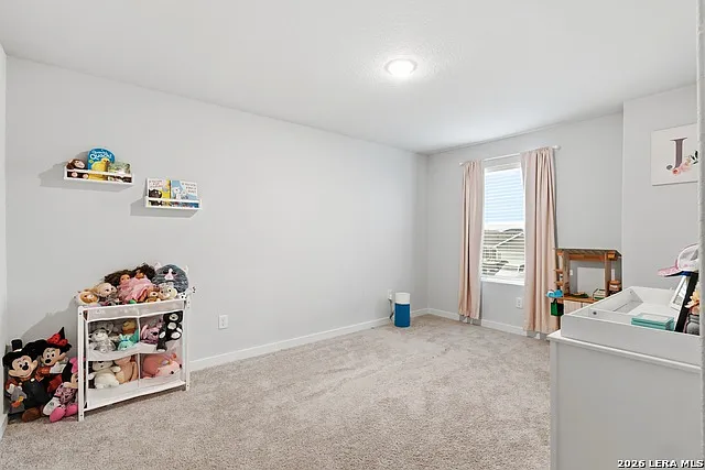 3523 Rancho Grande — Photo 17