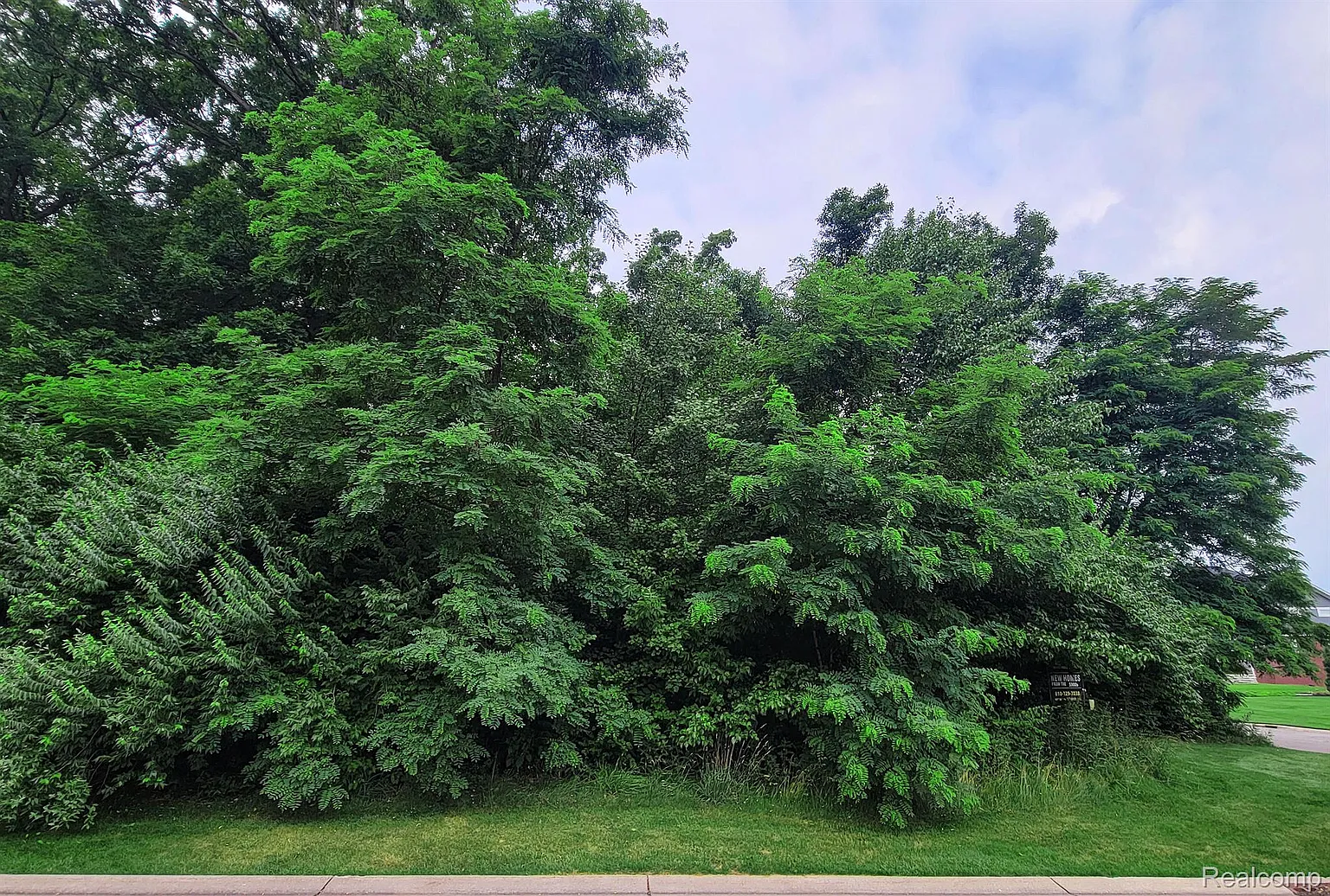 LOT 12 Wyndam Ln photo 1