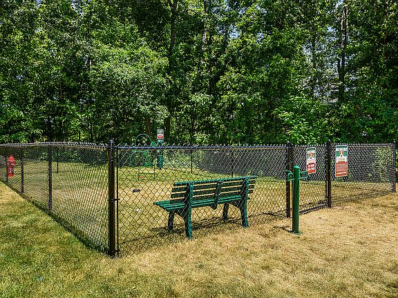 Dog Park