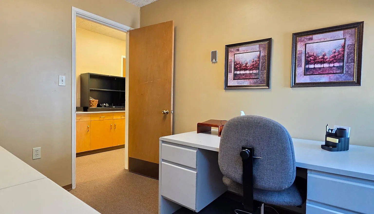 310 W Birch St #500 — Photo 3