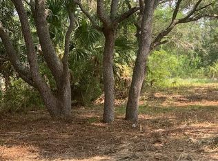 1707 Carrabelle Beach Dr, Carrabelle, FL 32322