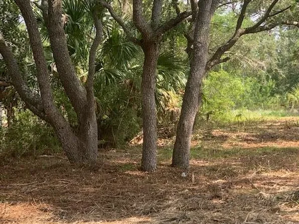 1707 Carrabelle Beach Dr, Carrabelle, FL 32322