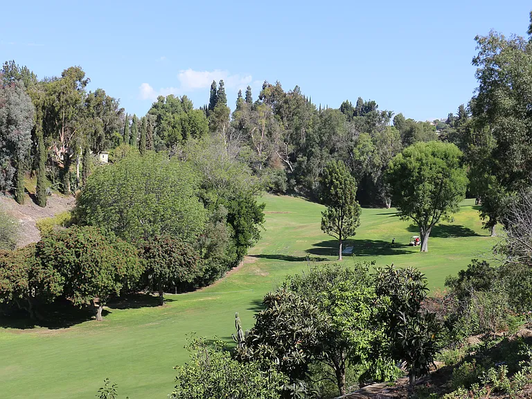 8927 Seranata Dr — Photo 38