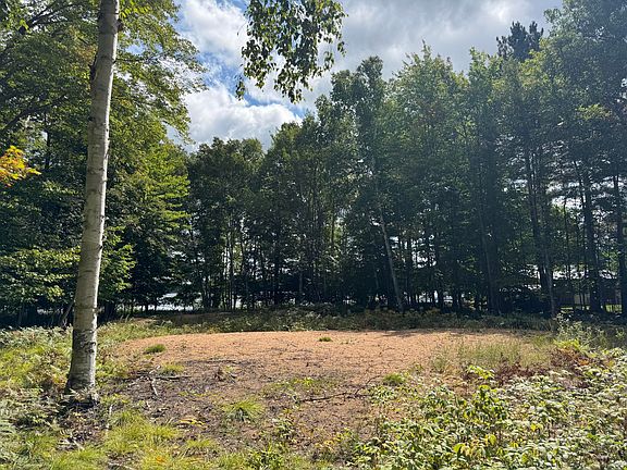 3rd image of LOT 29 W Birch Shores Dr