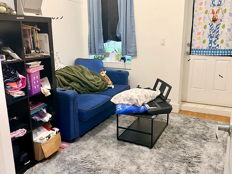 828 Saint Johns Pl #2R — Photo 5