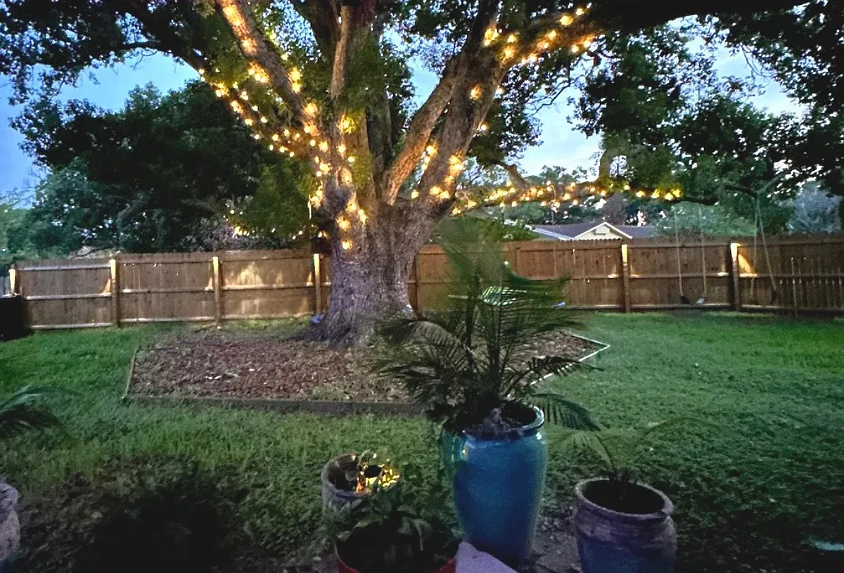 3 bed, 1500 sqft, $2,950 — Photo 3