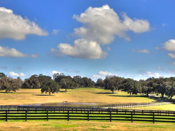 20925 NW 100th Avenue Rd, Micanopy, FL 32667