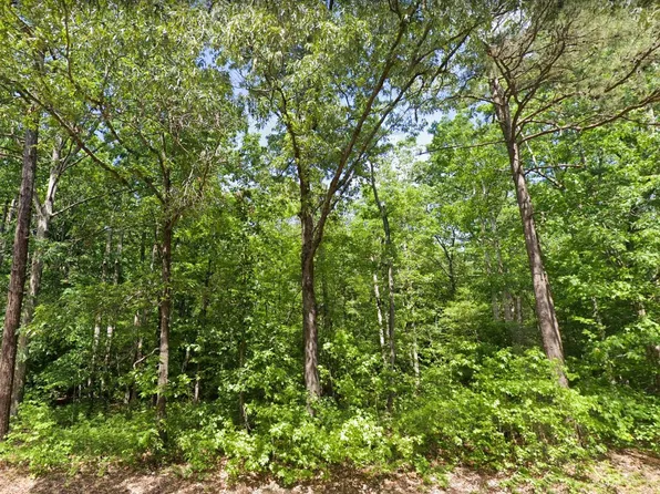0 Dan Rd #21, Robbins, NC 27325
