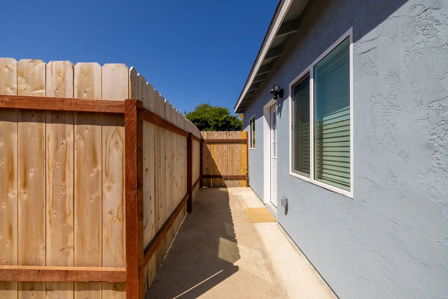 1 bed, $3,000 — Photo 3