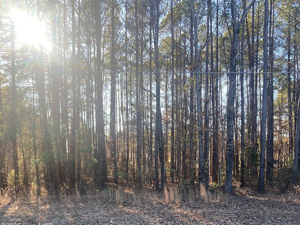 2nd image of Tbd Bostic Road