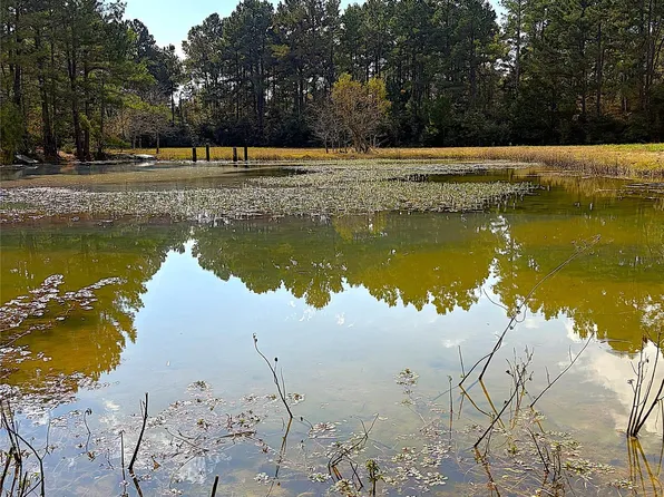 15031 N Fm 542, Oakwood, TX 75855