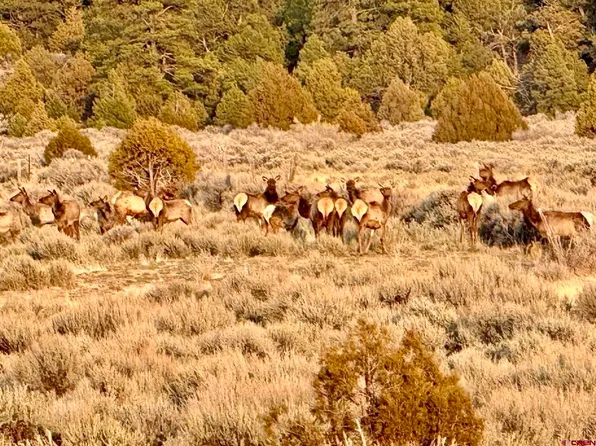 Highway 96 & 595 Highway #Wilderness Ranch, Regina, NM 87017