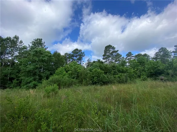Reids Prairie Rd, Waller, TX 77484