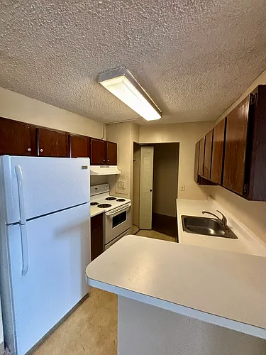 Triad Apartments Photo 1
