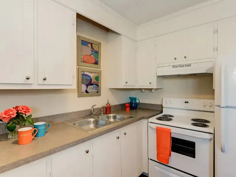 3027 Adams Blvd #6 — Photo 6
