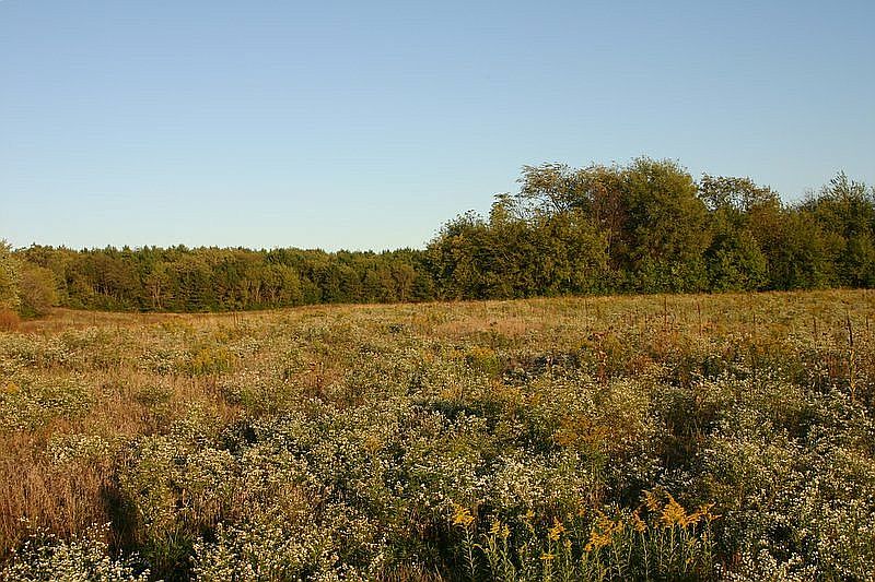 Pre-construction photo 