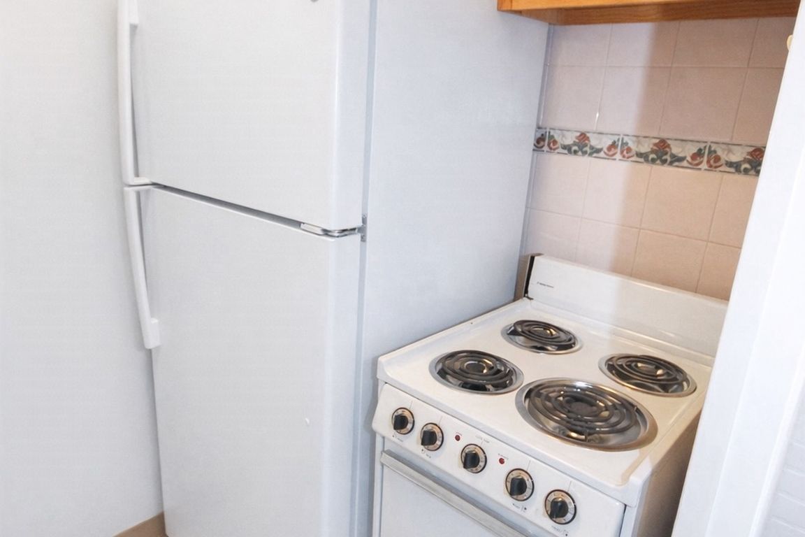 Hardwood 1 Bedroom (Unit 207)