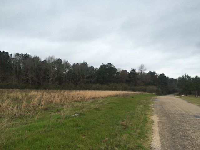 1st image of W Lexie Rd