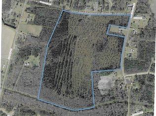 McNeil Chapel Rd, Conway, SC 29526